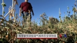 科学家预测极端气候将持续 科学家预测极端气候将持续