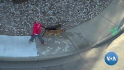 Albuquerque Balloon Festival Draws Massive Crowds  Albuquerque Balloon Festival Draws Massive Crowds