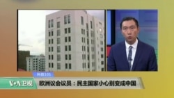 科技101: 欧洲议会议员:民主国家小心别变成中国 科技101: 欧洲议会议员:民主国家小心别变成中国