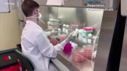 礼来制药暂停抗体药物的试验 礼来制药暂停抗体药物的试验