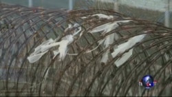 时事大家谈: 维权律师遭酷刑,中国法治蒙阴影 时事大家谈: 维权律师遭酷刑,中国法治蒙阴影