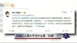 时事大家谈:党国红人周小平为什么被“拉黑”? 时事大家谈:党国红人周小平为什么被“拉黑”?