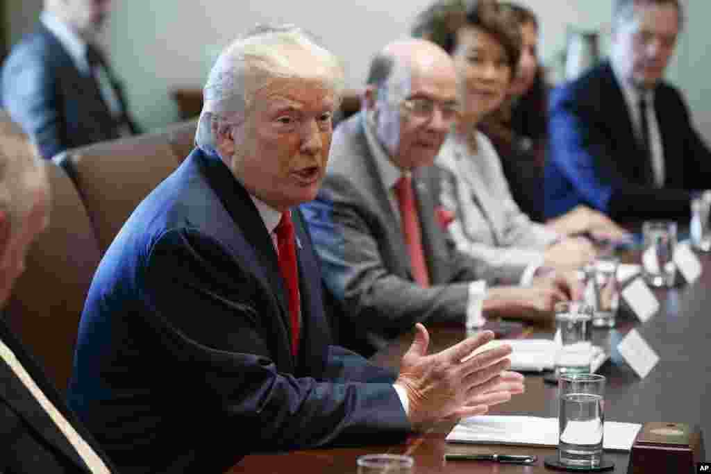 美国总统川普在白宫内阁室的内阁会议上讲话。总统右侧为商务部长罗斯和交通运输部长赵小兰(2017年7月31日)