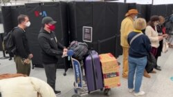 Varian Omicron Gagalkan Rencana Mudik Diaspora Indonesia Varian Omicron Gagalkan Rencana Mudik Diaspora Indonesia