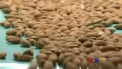 ဒီသတင်းပတ် အာရှစီးပွားရေး ဒီသတင်းပတ် အာရှစီးပွားရေး