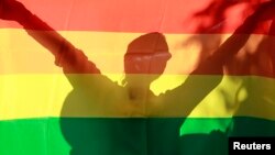 资料照:同性恋团体支持者举着LGBT旗帜参加权益活动。