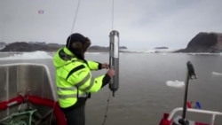 白宫称空前关注北极 退休军官们称力度不够 白宫称空前关注北极 退休军官们称力度不够