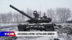 焦点对话:乌克兰危机碰上北京冬奥 习近平“坐山观虎斗”是喜是忧? 焦点对话:乌克兰危机碰上北京冬奥 习近平“坐山观虎斗”是喜是忧?