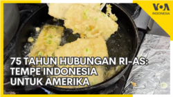 75 Tahun Hubungan RI-AS: Tempe Indonesia untuk Amerika 75 Tahun Hubungan RI-AS: Tempe Indonesia untuk Amerika