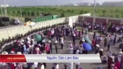 Chuyên gia nhận định: Formosa chỉ rút vì sức ép của chính quyền Chuyên gia nhận định: Formosa chỉ rút vì sức ép của chính quyền