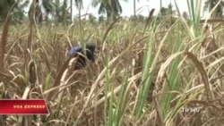 World Bank cho VN vay 310 triệu đôla để ứng phó với biến đổi khí hậu World Bank cho VN vay 310 triệu đôla để ứng phó với biến đổi khí hậu