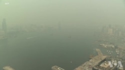 汽车污染加剧世界各地的儿童哮喘 汽车污染加剧世界各地的儿童哮喘