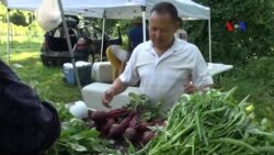 Nông dân tị nạn tại Mỹ hội nhập với cộng đồng Nông dân tị nạn tại Mỹ hội nhập với cộng đồng