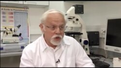 果蝇帮助战胜阿尔茨海默症 果蝇帮助战胜阿尔茨海默症