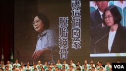 民进党主席蔡英文(美国之音杨明拍摄)