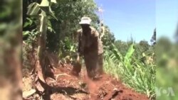 内罗毕农商携手保护河流 内罗毕农商携手保护河流