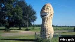 吉米·卡特有个外号叫“花生农场主”