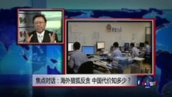 焦点对话：海外猎狐反贪，中国代价知多少？