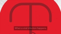 How Can a Virus Make Some People Sicker Than Others? How Can a Virus Make Some People Sicker Than Others?