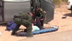 越境者涌入亚利桑那州图森市 越境者涌入亚利桑那州图森市