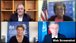 美国、英国和德国常驻联合国代表5月12日在联合国新疆人权网络会议上发言(Zoom视频会议截图)