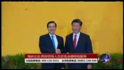 海峡论谈:两岸领导人历史性会晤特别报导 海峡论谈:两岸领导人历史性会晤特别报导