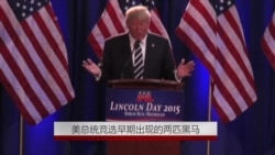 美总统竞选早期出现的两匹黑马 美总统竞选早期出现的两匹黑马