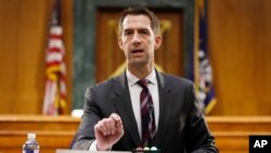 资料照:共和党联邦参议员科顿