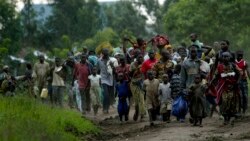 Sango ya Mokili Lelo: Bavandi ba Kiwanja batatoli bobangi bwa bango na bitumba bya M23 Sango ya Mokili Lelo: Bavandi ba Kiwanja batatoli bobangi bwa bango na bitumba bya M23