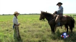 走进美国:当个牛仔过一生 走进美国:当个牛仔过一生