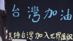 台湾追求有意义参与国际组织 台湾追求有意义参与国际组织