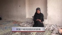 从苦到更苦:阿富汗难民回国后的困境 从苦到更苦:阿富汗难民回国后的困境