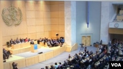 2017年世界卫生大会2017年5月22日开幕现场 (翻拍自世卫组织官网)