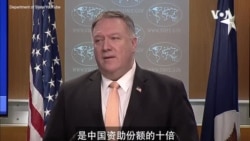 美国务院一官员因新冠去世 美国为国际抗疫提供援助 美国务院一官员因新冠去世 美国为国际抗疫提供援助