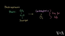 专访创始人:可汗学院为全球提供免费教育 专访创始人:可汗学院为全球提供免费教育