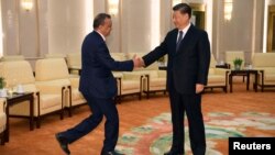 中国国家主席习近平在北京人大会堂会晤到访的世界卫生组织总干事谭德塞。（2020年1月28日）