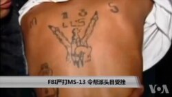 FBI严打MS-13 令帮派头目受挫