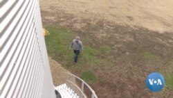 VOA英语视频: 美国农民对美中贸易协定“谨慎乐观” VOA英语视频: 美国农民对美中贸易协定“谨慎乐观”