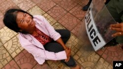 Nạn chiếm đoạt đất đai đã trở thành một vấn đề kinh niên ở Campuchia và Lào, là nơi mà những công ty có quan hệ tốt với giới lãnh đạo chính trị như Hoàng Anh Gia Lai và các công ty khác được dành cho những hợp đồng để khai thác những vùng đất vô cùng rộng lớn.