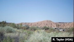 内华达州莫阿帕谷这样白人占人口92%的农村地区的居民认为,随着整体州选民变得更加多元化,移民政策将间接影响他们。