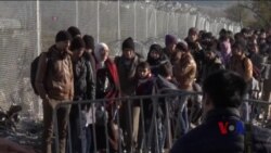 欧洲难民压力急需缓解 欧洲难民压力急需缓解