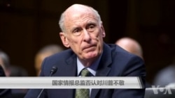 国家情报总监否认对川普不敬 国家情报总监否认对川普不敬