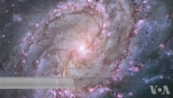 科学家提出建议 促进在宇宙中寻找生命