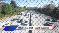 洛杉矶码头拥塞 卡车司机需求高 洛杉矶码头拥塞 卡车司机需求高