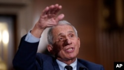 资料照片:美国顶级传染病专家、拜登总统的首席医疗顾问弗契医生。