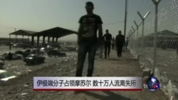 伊极端分子占领摩苏尔 数十万人流离失所 伊极端分子占领摩苏尔 数十万人流离失所