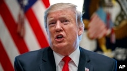 美国总统特朗普在白宫发表讲话。(2019年2月1日)