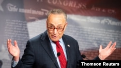 资料照片:美国参议院多数党领袖舒默。
