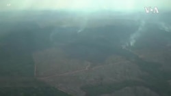 亚马逊雨林遭砍伐破坏严重 亚马逊雨林遭砍伐破坏严重