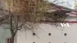 Orang Tua Bangun Komunitas "Bike Bus" untuk Anak Bersepeda di Meksiko Orang Tua Bangun Komunitas "Bike Bus" untuk Anak Bersepeda di Meksiko